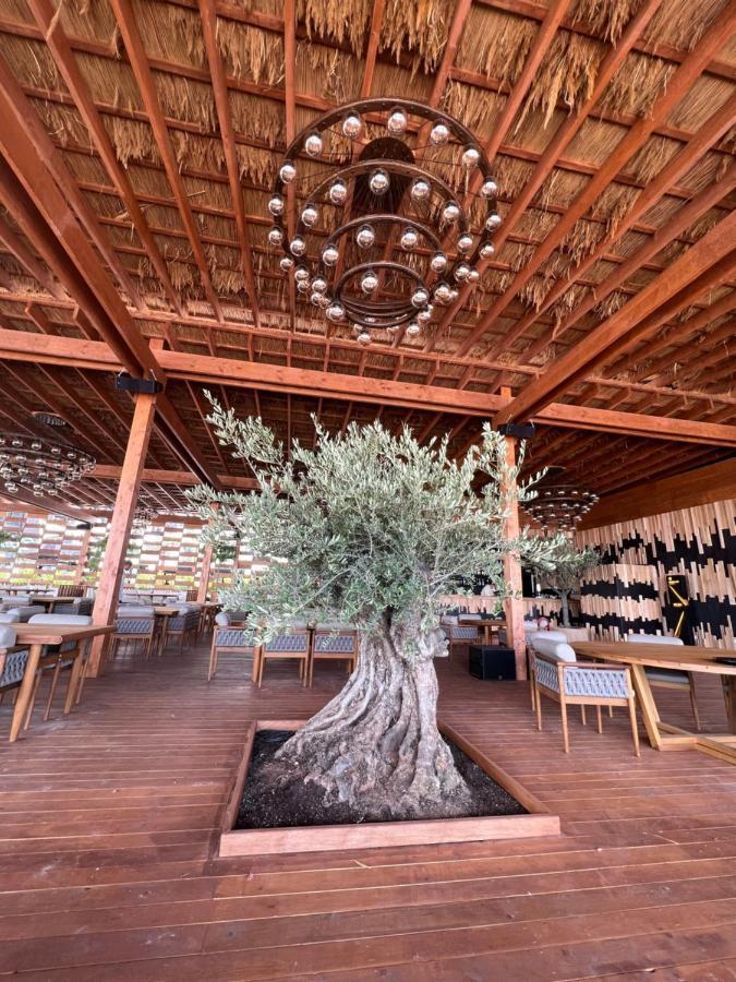 Richy By The Sea Apartment Năvodari Εξωτερικό φωτογραφία